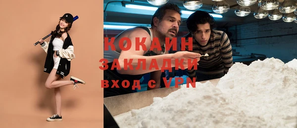 прущие грибы Балахна