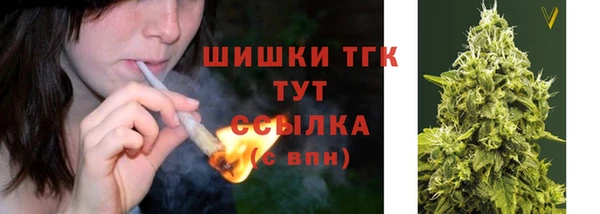 прущие грибы Балахна