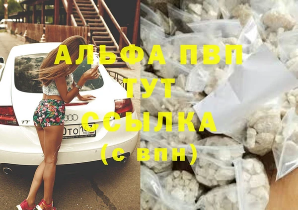 ПСИЛОЦИБИНОВЫЕ ГРИБЫ Балабаново