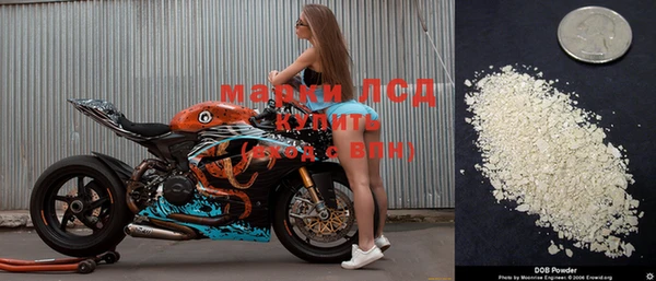 прущие грибы Балахна