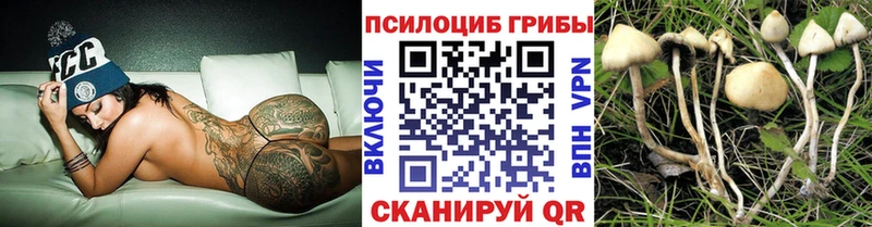ссылка на мегу ССЫЛКА  как найти закладки  Гороховец  Галлюциногенные грибы Cubensis 
